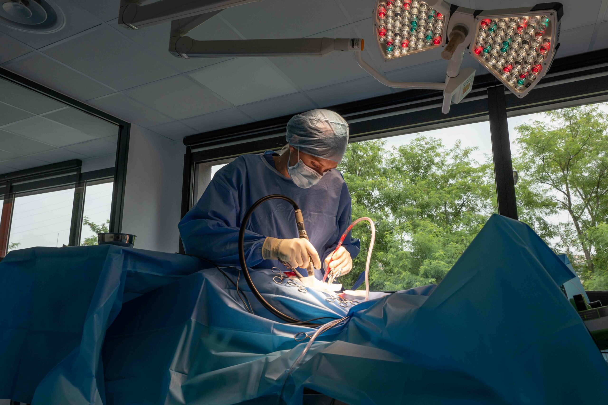 Le dr. vét. Magdalena OLENDER en neurochirurgie