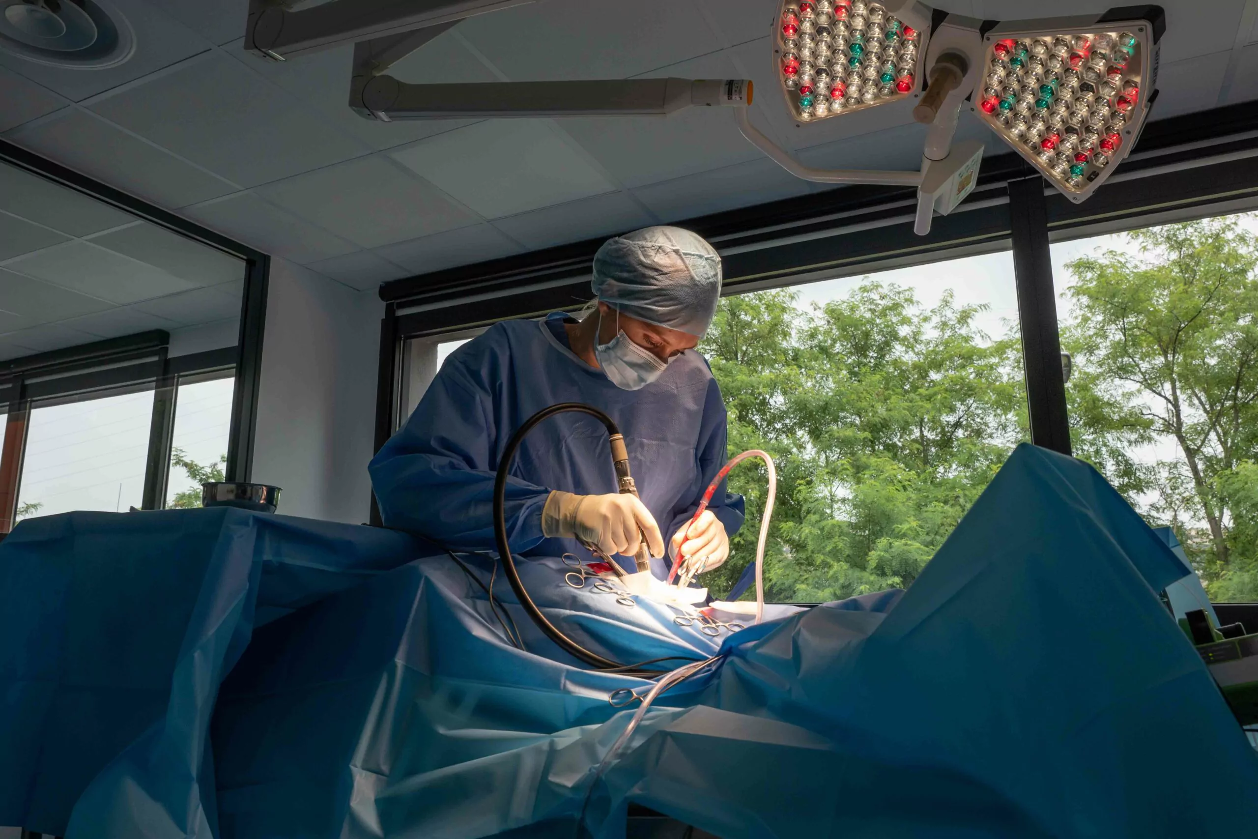 Le dr. vét. Magdalena OLENDER en neurochirurgie