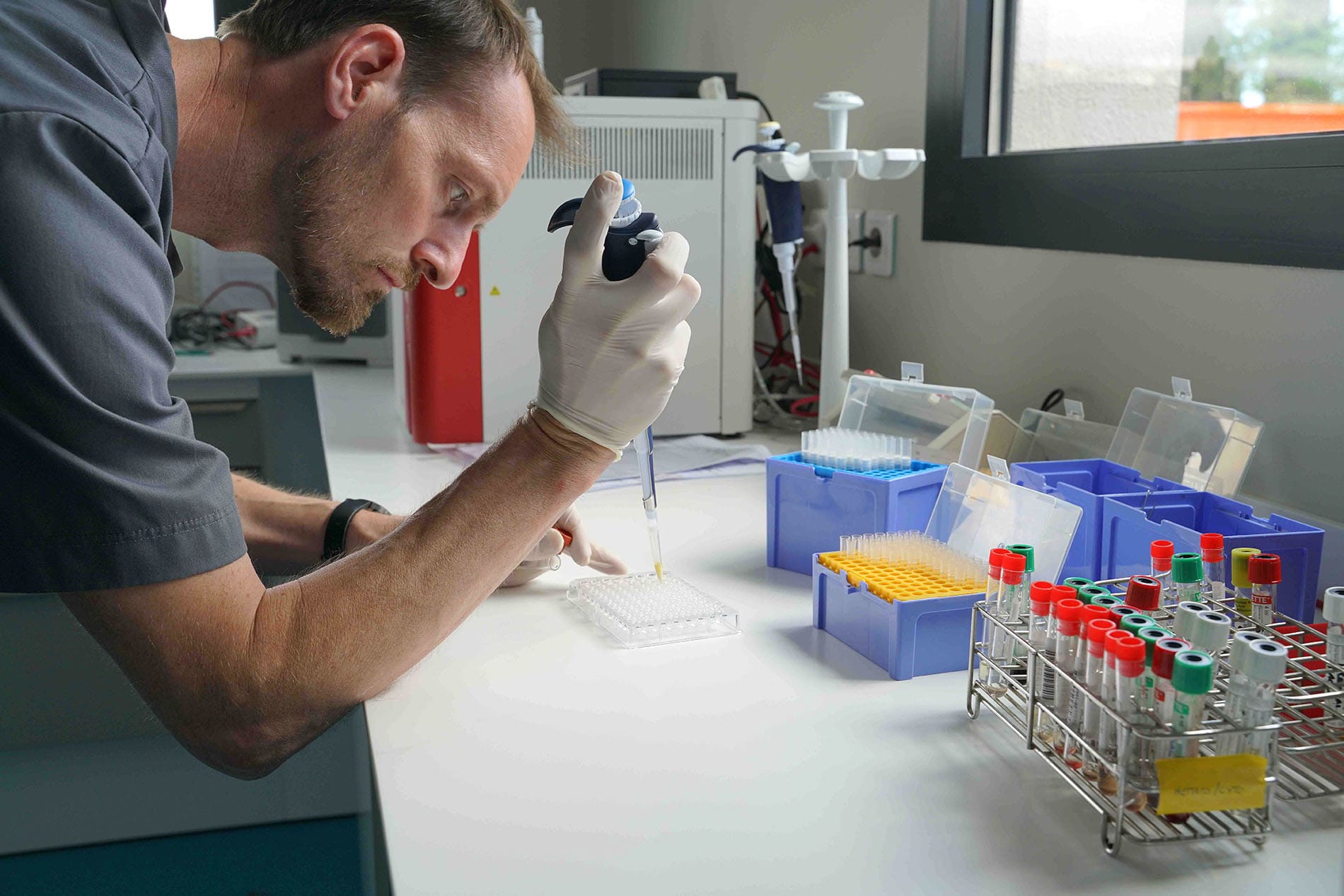 le dr. vet. Benoit RANNOU à azurvet-lab