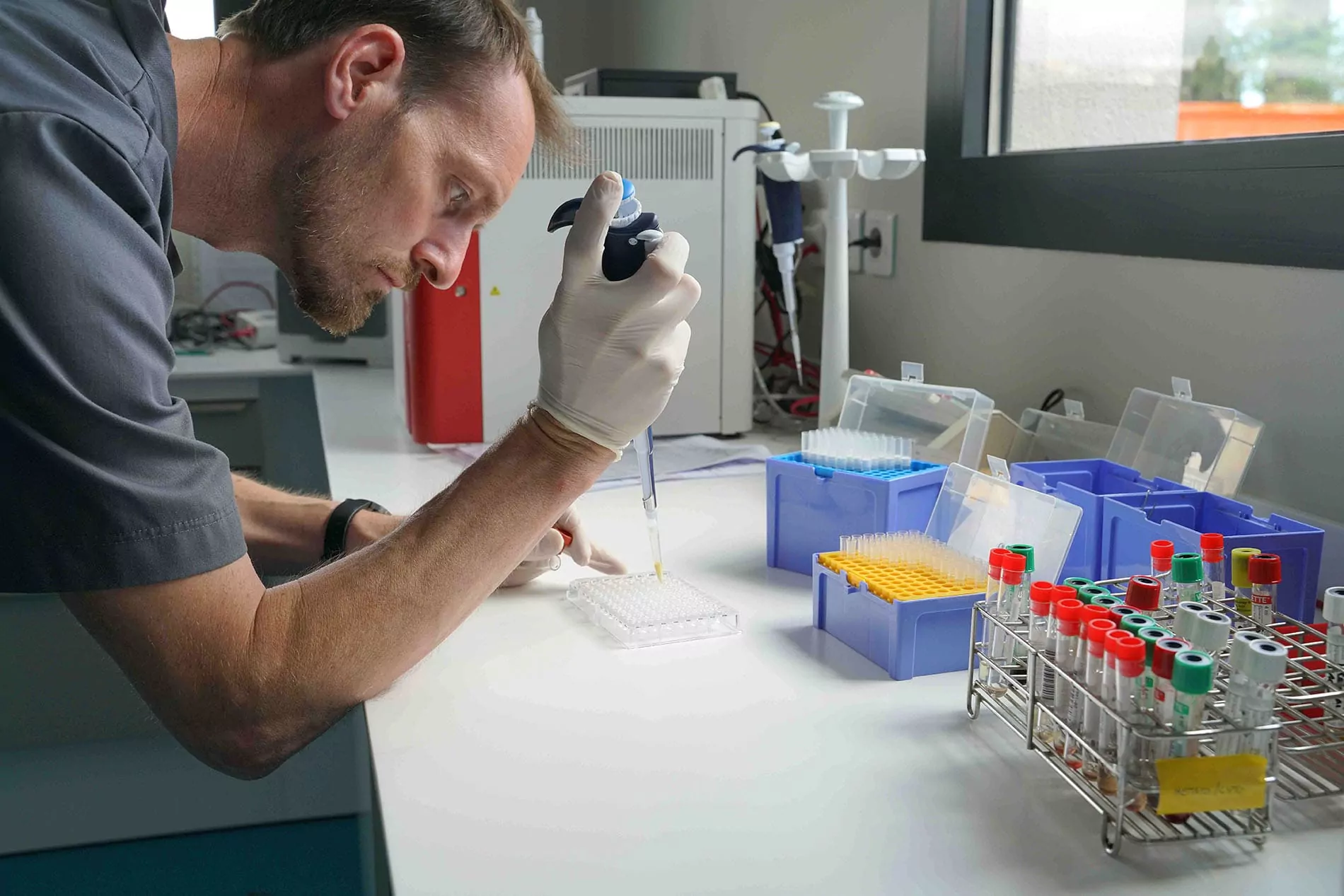 le dr. vet. Benoit RANNOU à azurvet-lab